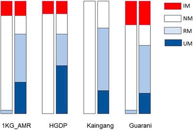 Distribution of a novel CYP2C haplotype in Native American populations